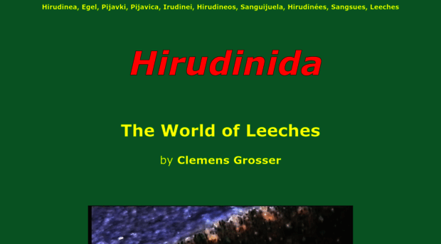 hirudinea.de