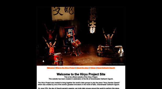 hiryu-project.com