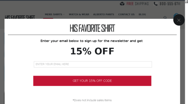 hisfavoriteshirt.com