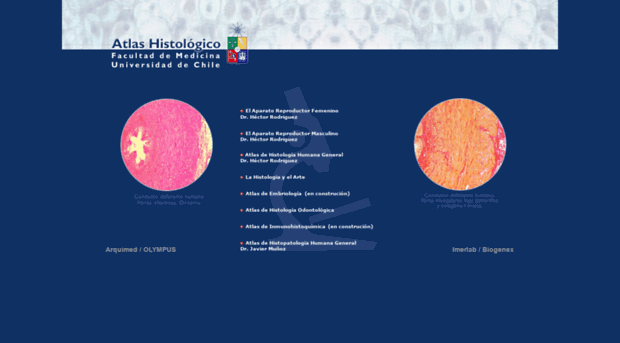 histologia.uchile.cl