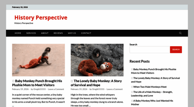 historiesperspective.com
