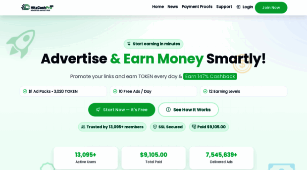 hitzcashpro.com