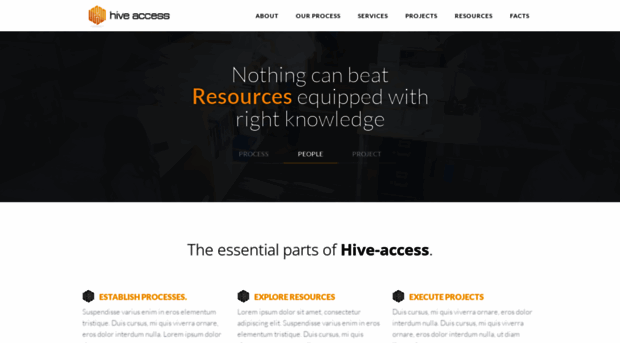 hiveaccess.com