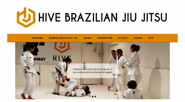 hivebjj.com