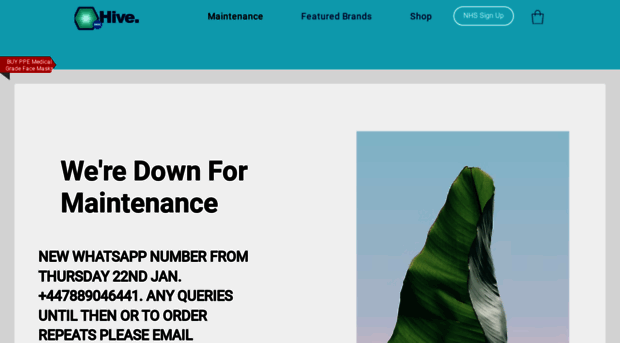 hivepharmacy.com