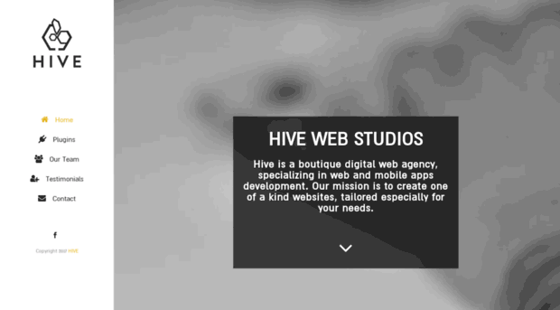 hivewebstudios.com