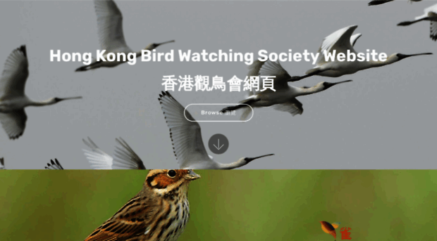 hkbws.org.hk