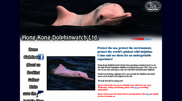 hkdolphinwatch.com