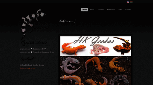 hkgeckos.com