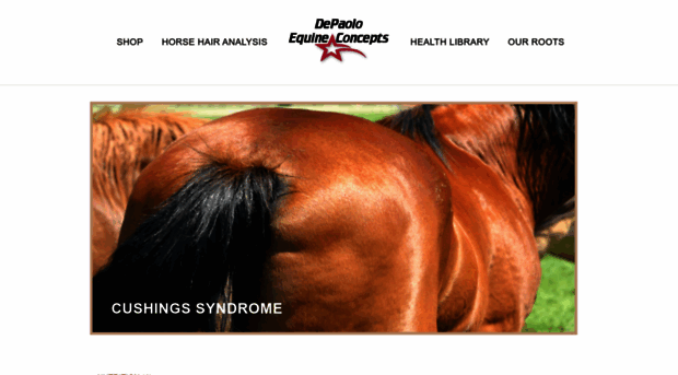 hl.depaoloequineconcepts.com