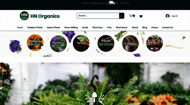 hnorganics.in