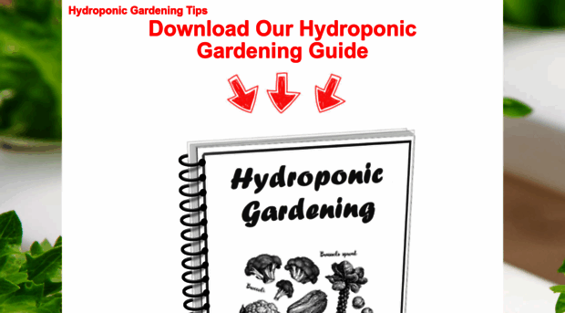 hoagtechhydroponics.com