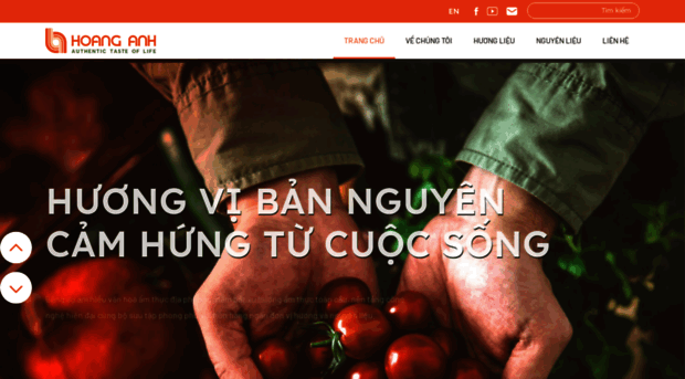 hoanganh.com.vn