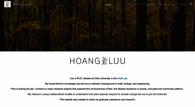 hoangluu.com