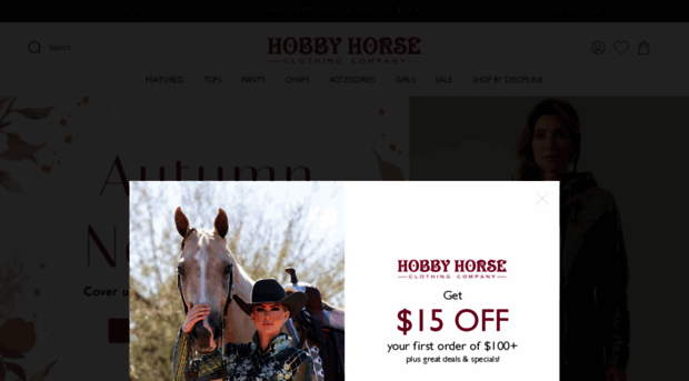 hobbyhorseinc.com