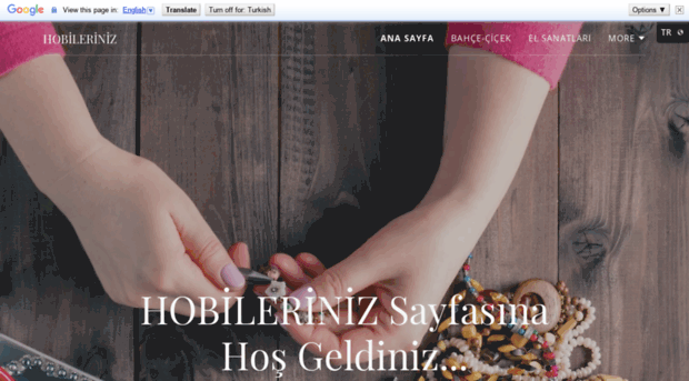 hobileriniz.com