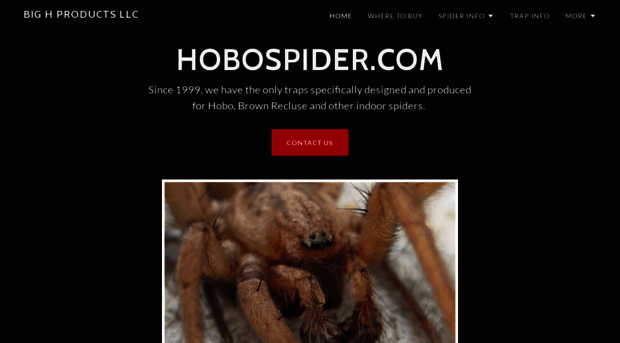 hobospider.com