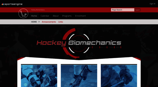 hockeybiomechanics.com