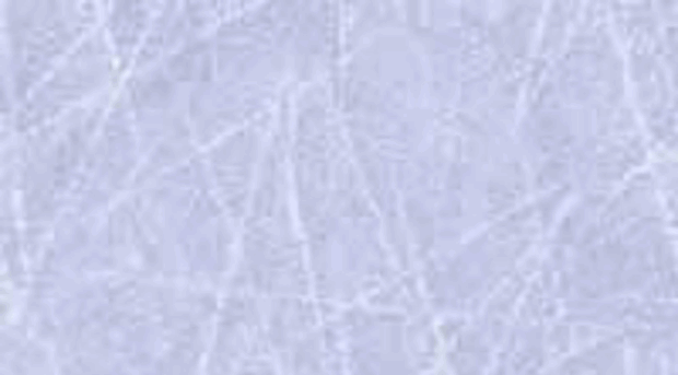 hockeyheathen.com