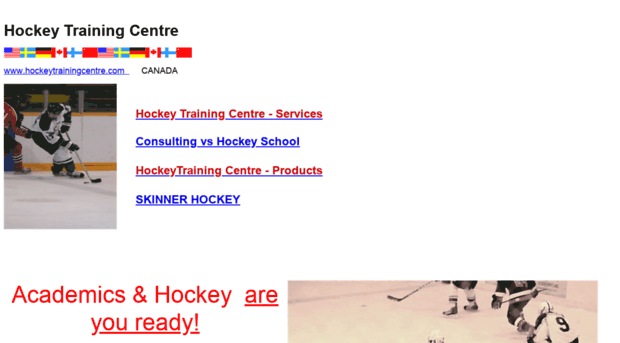 hockeytrainingcentre.com