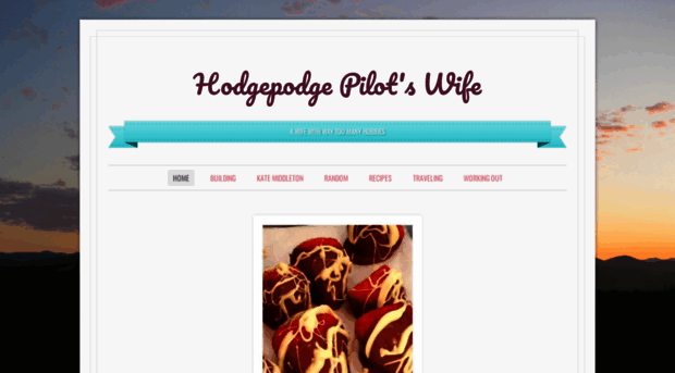 hodgepodgepilotswife.wordpress.com