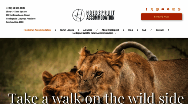 hoedspruit-accommodation.net