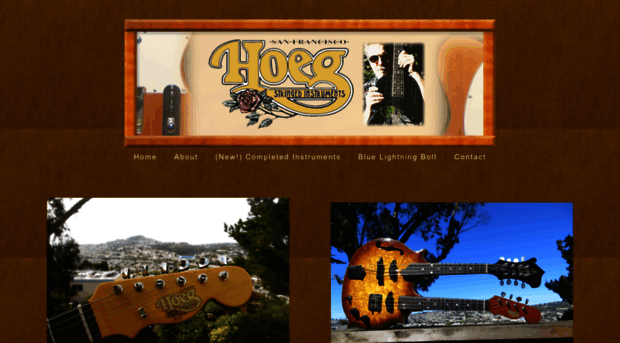 hoegguitars.com