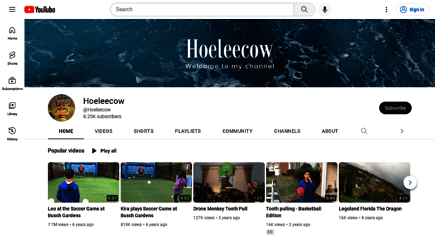 hoeleecow.com