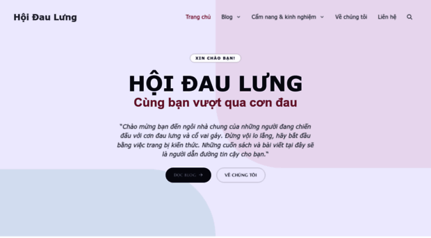 hoidaulung.com