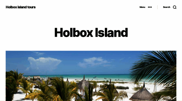 holboxislandtours.com