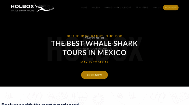 holboxwhalesharktours.com