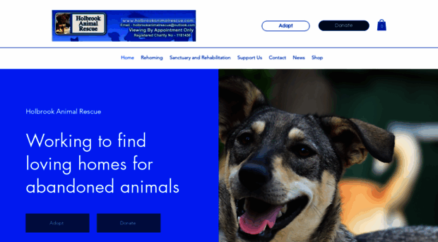 holbrookanimalrescue.co.uk