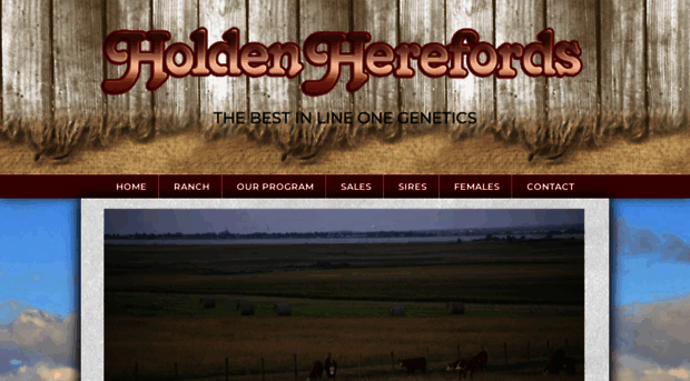 holdenherefords.com