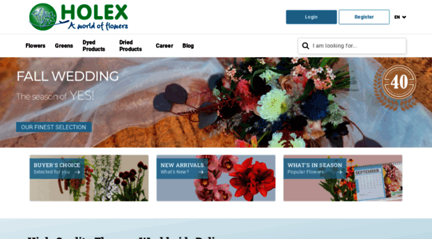 holex.com