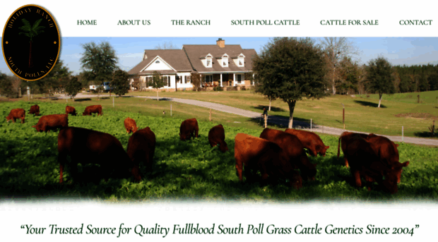 holidayranchsouthpolls.com