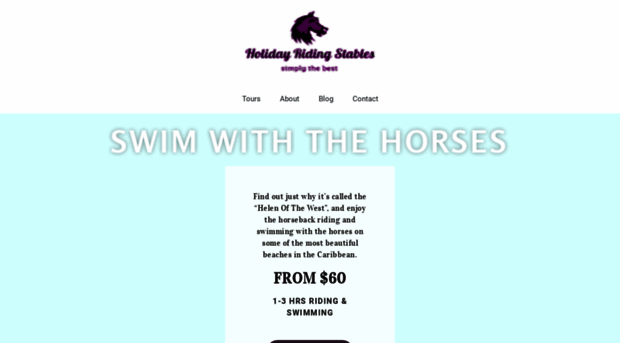 holidayridingstables.com