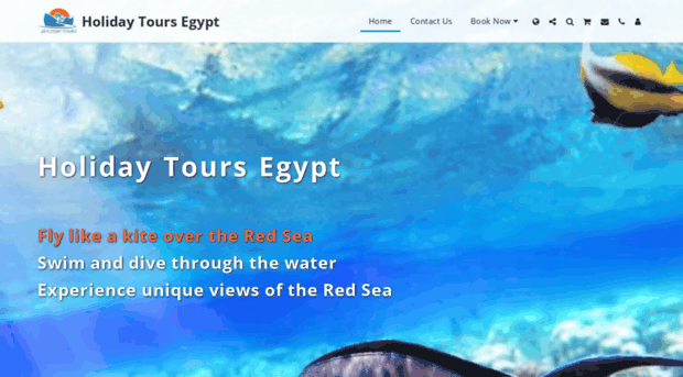 holidaytoursegypt.com