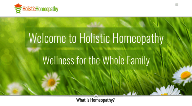 holistic-homeopathy.com