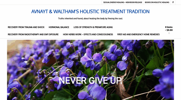 holistic-treatment.com