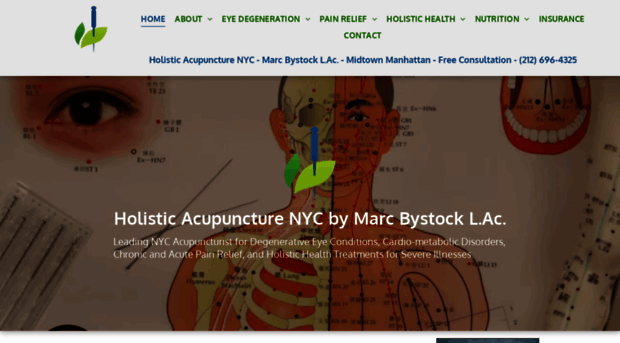 holisticacupuncturenyc.com