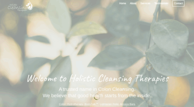 holisticcleansingtherapies.co.za