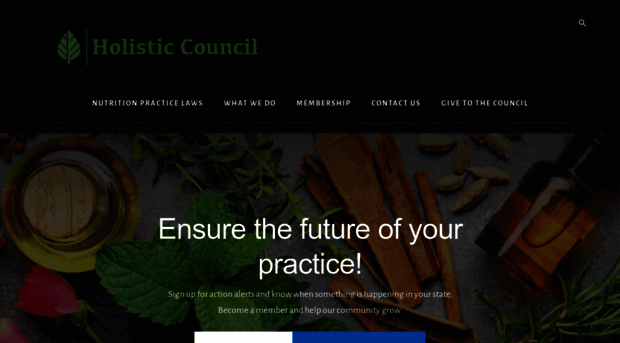 holisticcouncil.org