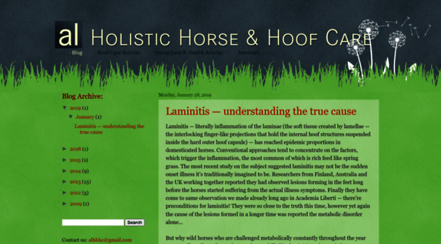 holistichorseandhoofcare.blogspot.com