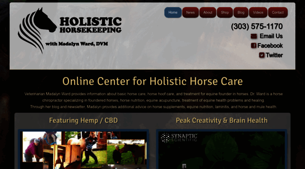 holistichorsekeeping.com
