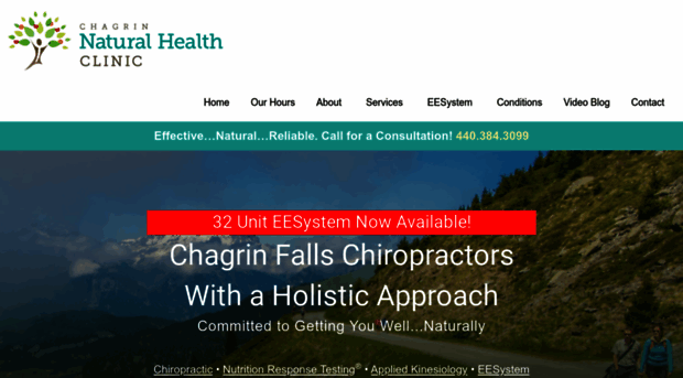 holisticvisionary.com