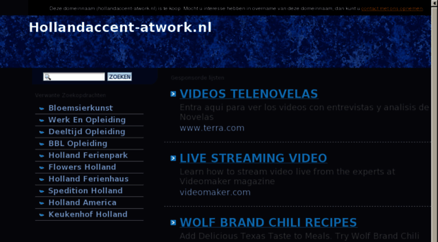 hollandaccent-atwork.nl