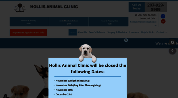 hollisanimalclinic.com