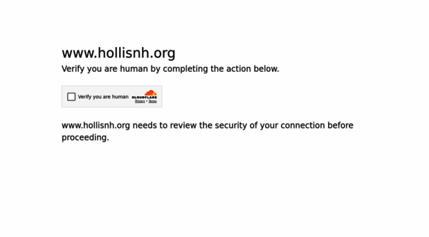 hollisnh.org