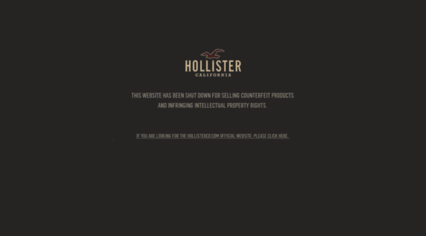 hollisterturkiye.net