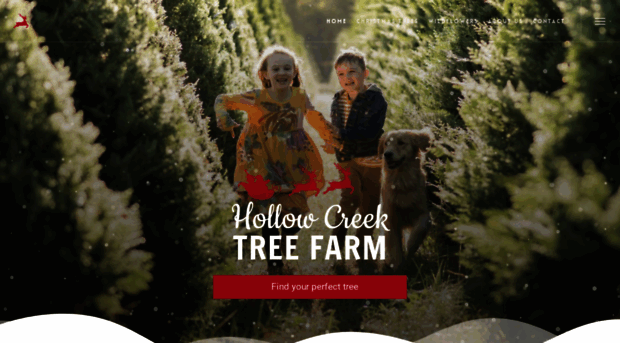 hollowcreektreefarm.com